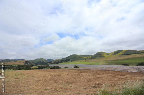 Green rolling hills, golden fields on a background of blue skies and billowy white clouds