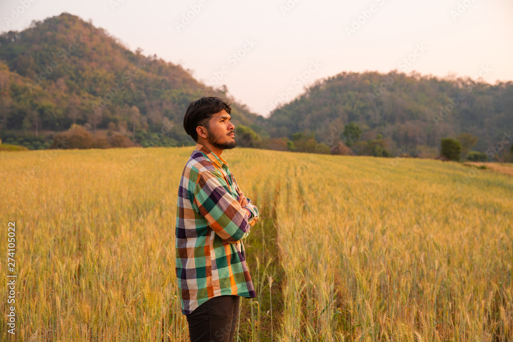 Young man farmer in scott shirt standing looking in a gold field of barley or wheat crops at sunset or sunrise Young man farmer in scott shirt standing looking in a gold field of barley or wheat crops at sunset or sunrise