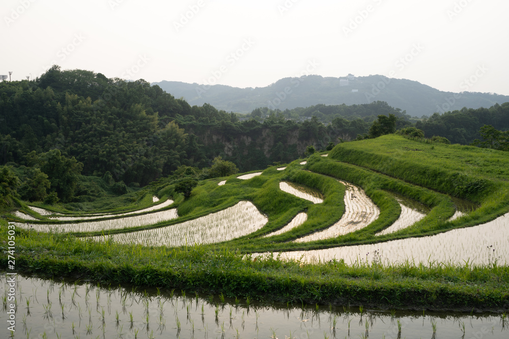 千早赤坂村の風景 千早赤坂村の風景