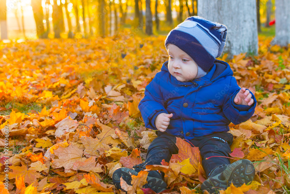 baby in autumn leaves baby in autumn leaves