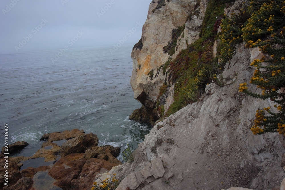 Cliff line along the pacific ocean as the fog rolls out.