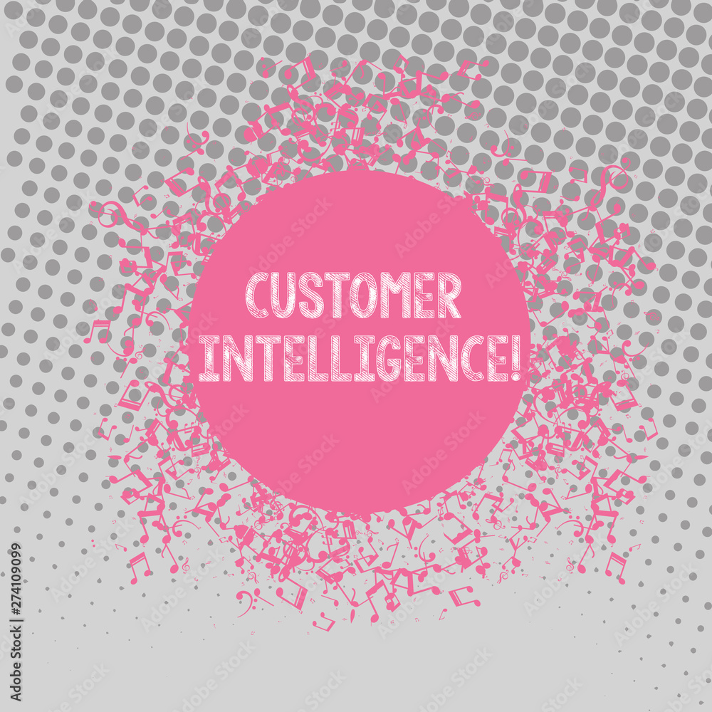 Text sign showing Customer Intelligence. Business photo text process of analyzing information regarding customers Disarrayed and Jumbled Musical Notes Icon Surrounding Blank Colorful Circle