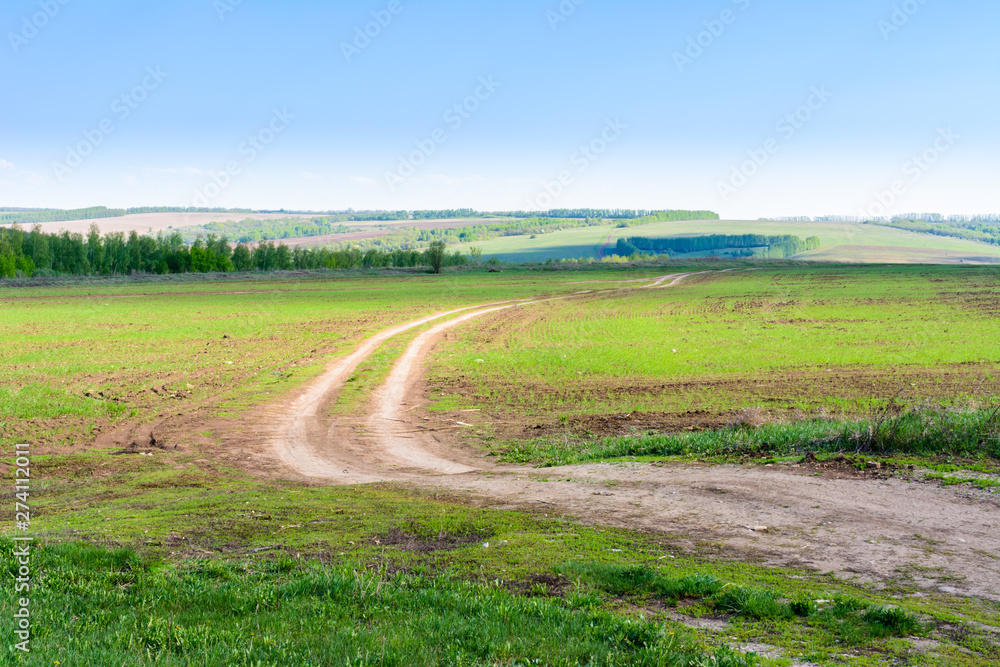 Naklejka premium Rural winding road extending beyond the horizon. Fresh spring grass in the fields and meadows on a sunny day. Beautiful landscape.