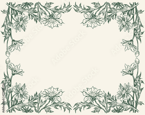 Vector card with a floral frame from chamomiles sketches