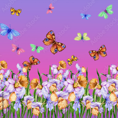 Beautiful narcissus flowers and flying butterflies on purple background. Seam...