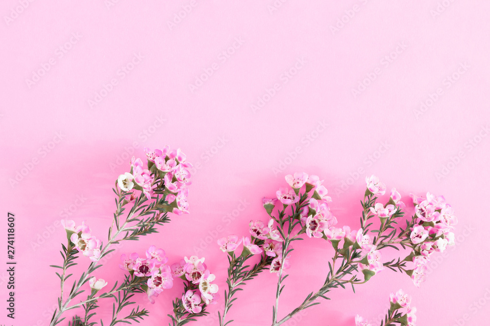 Beautiful flowers composition. Pink flowers on pastel pink background. Valentines Day, Easter, Birthday, Happy Women's Day, Mother's day. Flat lay, top view, copy space Beautiful flowers composition. Pink flowers on pastel pink background. Valentines Day, Easter, Birthday, Happy Women's Day, Mother's day. Flat lay, top view, copy space