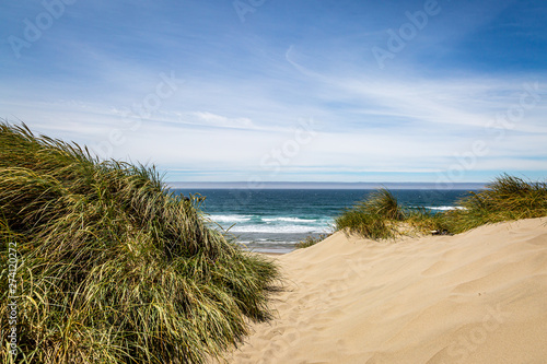 Fototapeta Naklejka Na Ścianę i Meble -  Sand dunes on the Oregon coast, on a sunny summers day