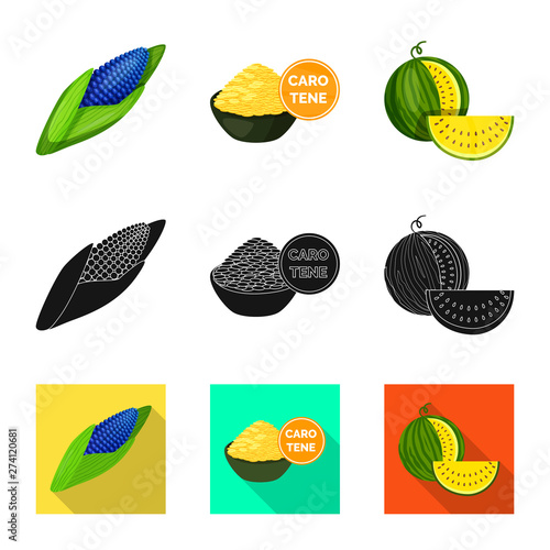 Vector illustration of test and synthetic sign. Collection of test and laboratory stock vector illustration.