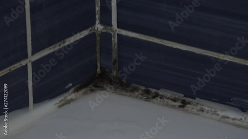 4K Zoom out Black mold in the corner of shower unit