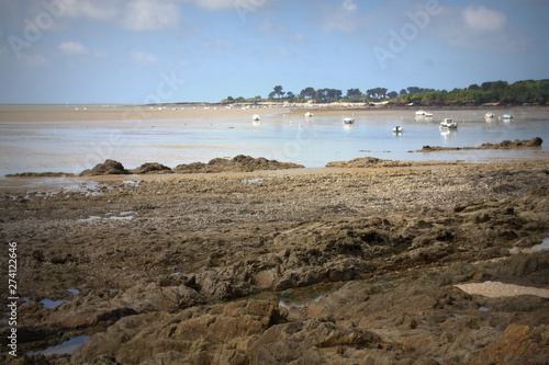 paysage du golf du morbihan en france