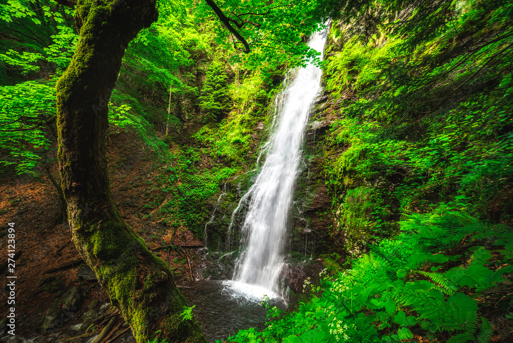 Karlovsko pruskalo waterfall in Old River, Stara reka reserve, located at Central Balkan national park in Bulgaria