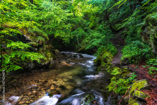 Summer mountain colors of   Old River     Stara reka reserve  located at Central Balkan national park in Bulgaria