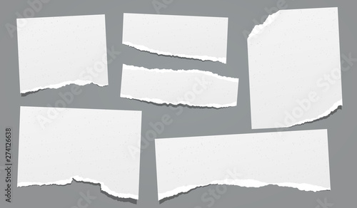 Ripped, torn note, notebook grainy paper strips, copybook sheet stuck on dark grey background. Vector illustration