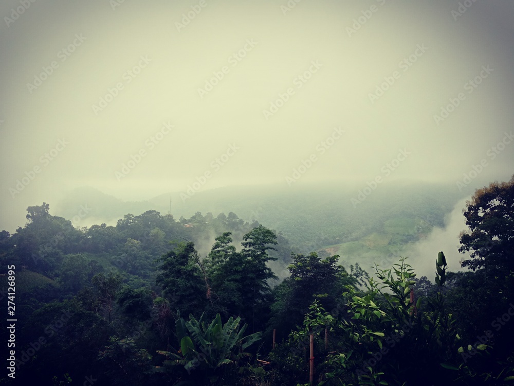 Obraz premium foggy morning in the mountains