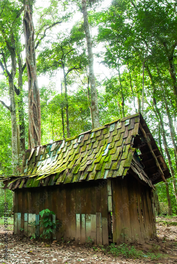 An old wooden cabin in a tropical forest in springtime. An old wooden cabin in a tropical forest in springtime.