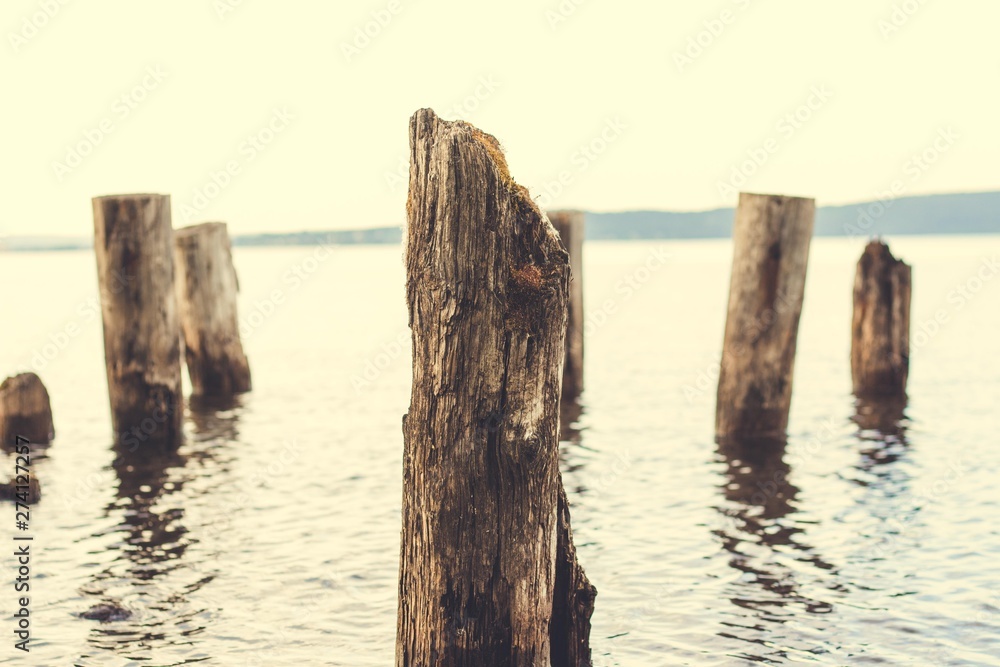 Several pillars of the tree that served as supports for the pier. Pierce has long been destroyed by strong waves of the sea. Several pillars of the tree that served as supports for the pier. Pierce has long been destroyed by strong waves of the sea.