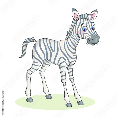 Little zebra cub. In cartoon style. Isolated on white background. Vector illustration.