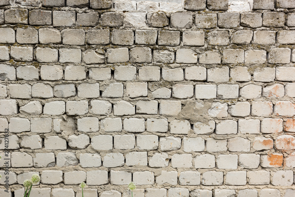 Fototapeta premium Rough wall background image