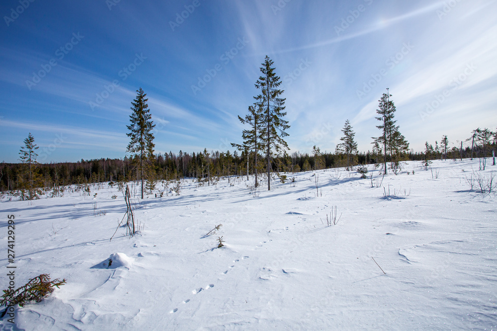 Fototapeta premium Snow path through winter's tundra.