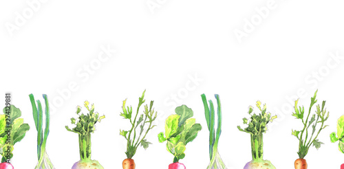 Vegetables border