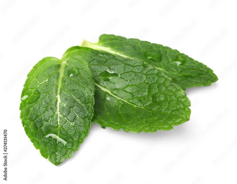 Wet leaves of fresh mint isolated on white Wet leaves of fresh mint isolated on white