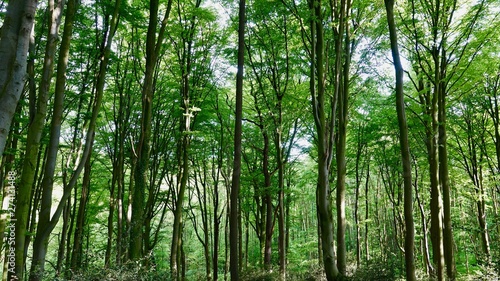 Buchenwald im Bergischen Land, Wanderung