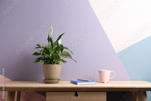 Potted peace lily plant, cup and notebook on wooden table near color wall. Space for text