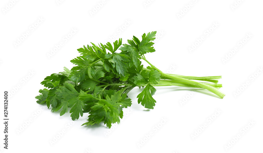 Bunch of fresh parsley isolated on white Bunch of fresh parsley isolated on white