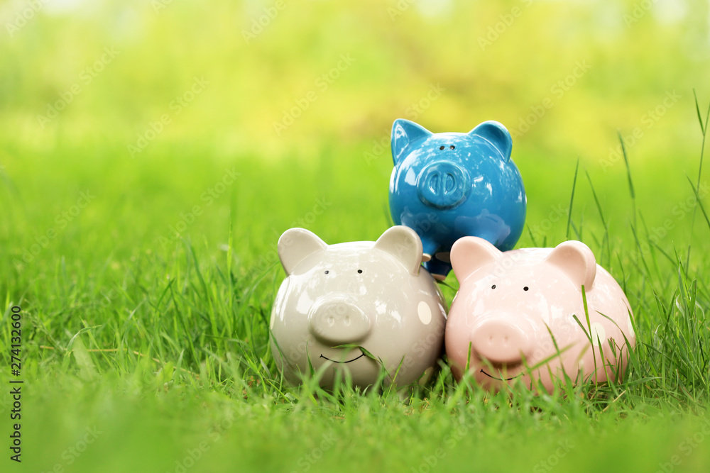 Piggy banks on green grass in park, space for text