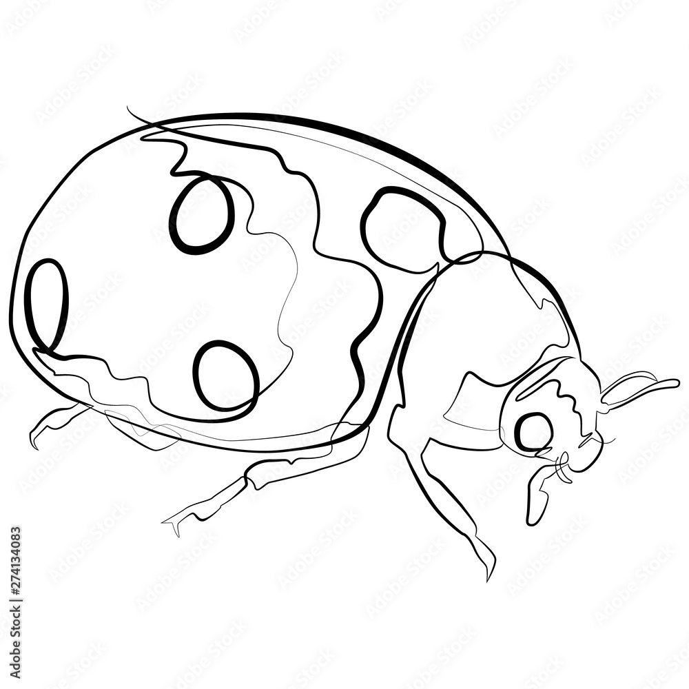 Ladybugs one line drawing. Lucky Charm continuous line sketch Vector ...