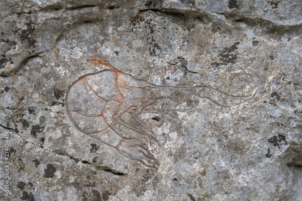 Sauve, France - 06 06 2019: the crustacean engraved in the rock in the sea of rocks