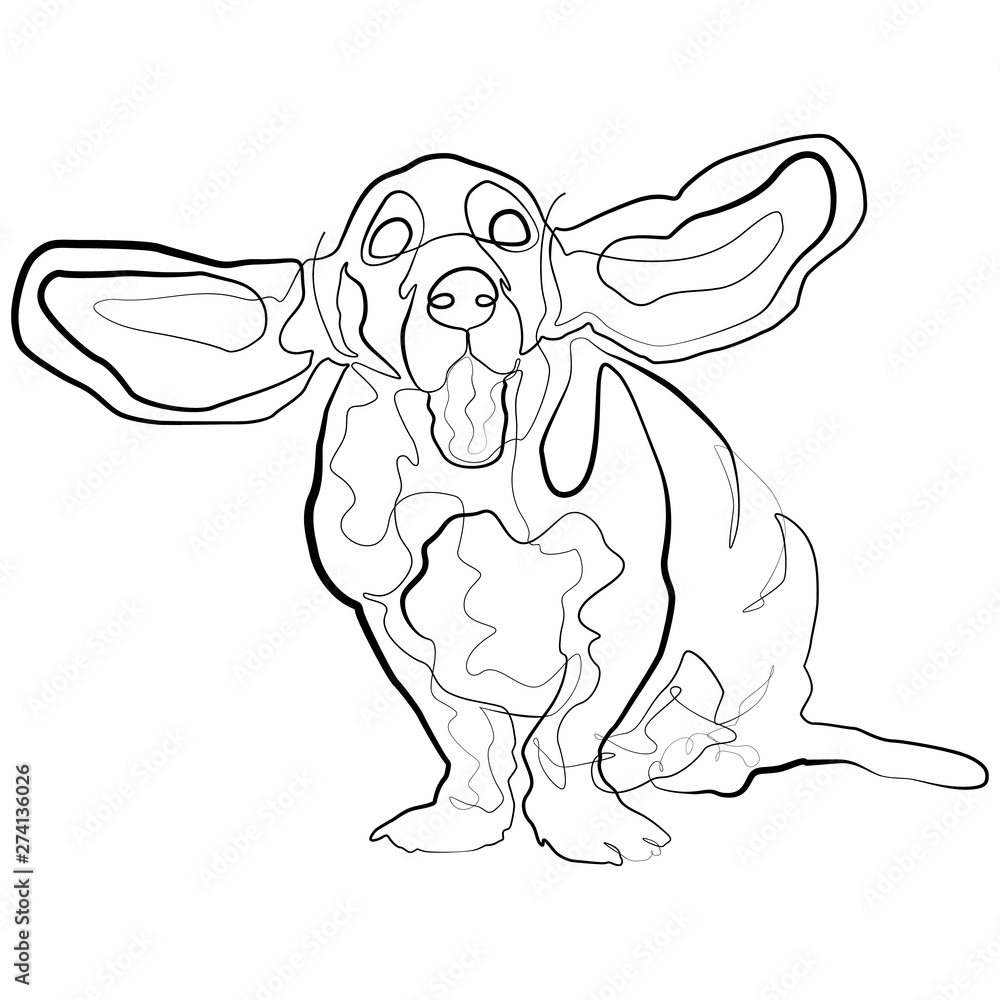 Basset Hound Drawings for Sale  Fine Art America