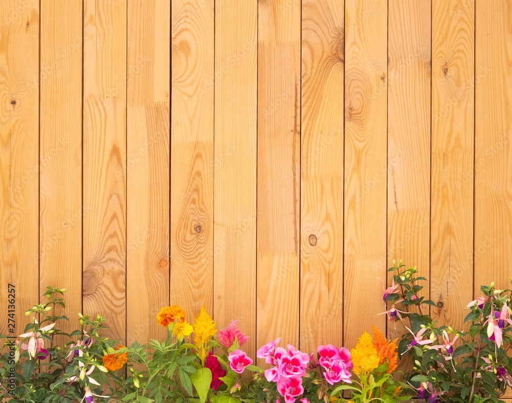 Vertical wood fence made with recycled pallet. Clear and clean. Mix of flowering plants at the end