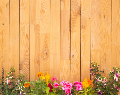 Vertical wood fence made with recycled pallet. Clear and clean. Mix of flowering plants at the end