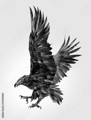 malowany ptak drapieżny w monochromatycznej stronie orła