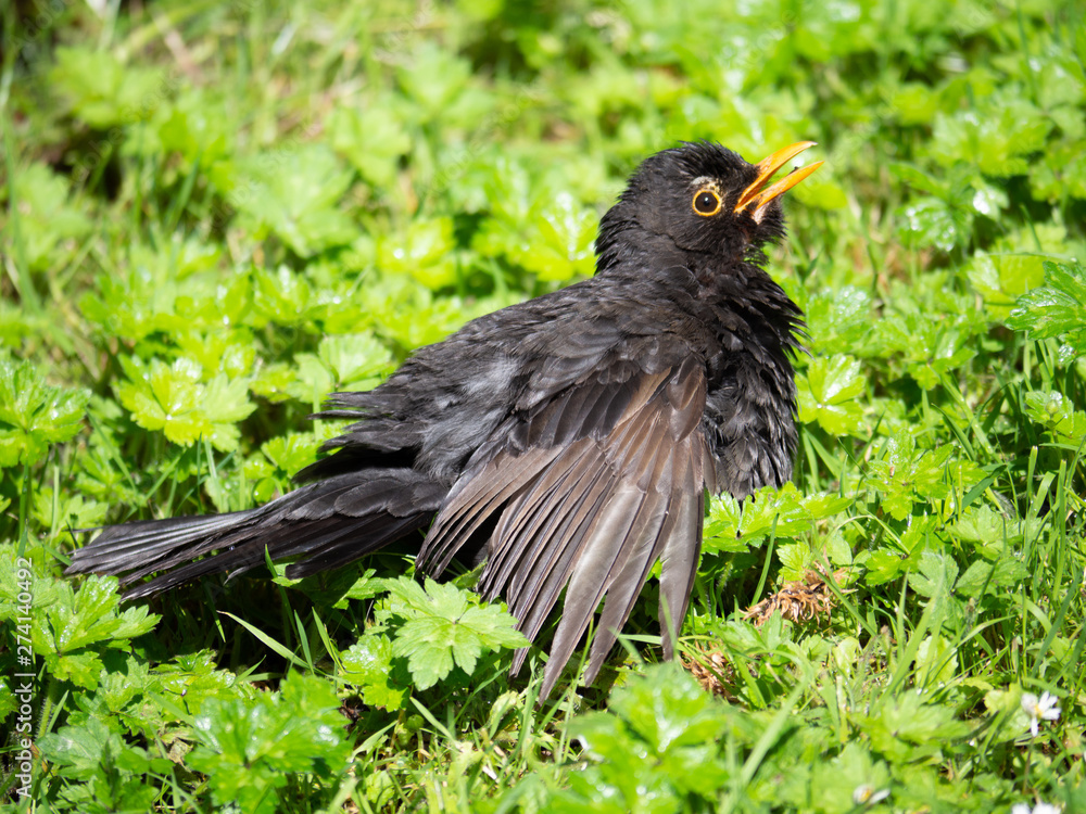 Obraz premium OLYMPUS DIGITAL CAMERA