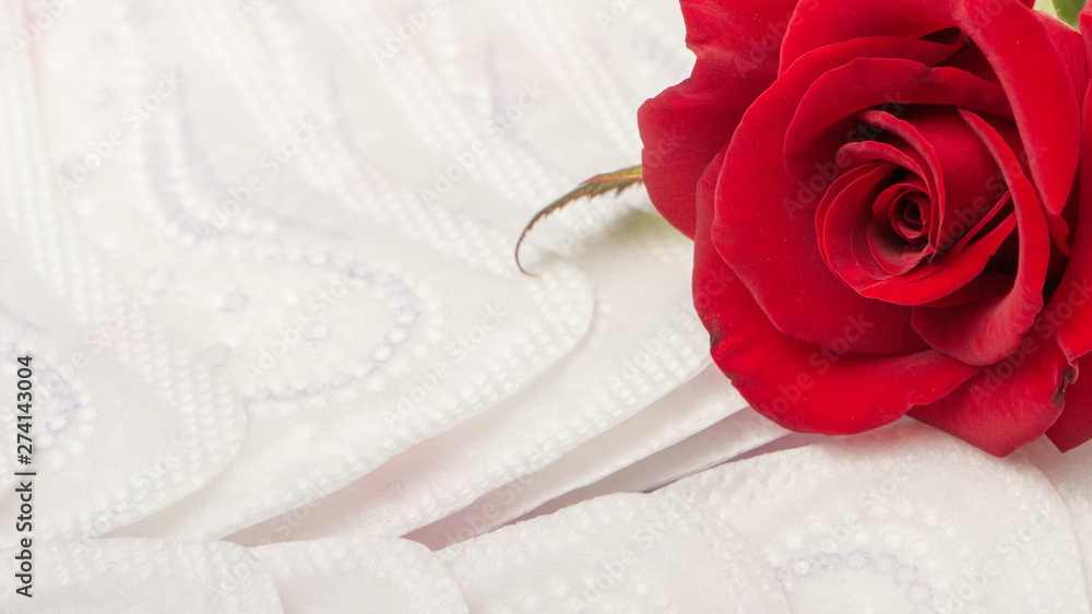 Red rose and sanitary pads. The concept of purity and freshness