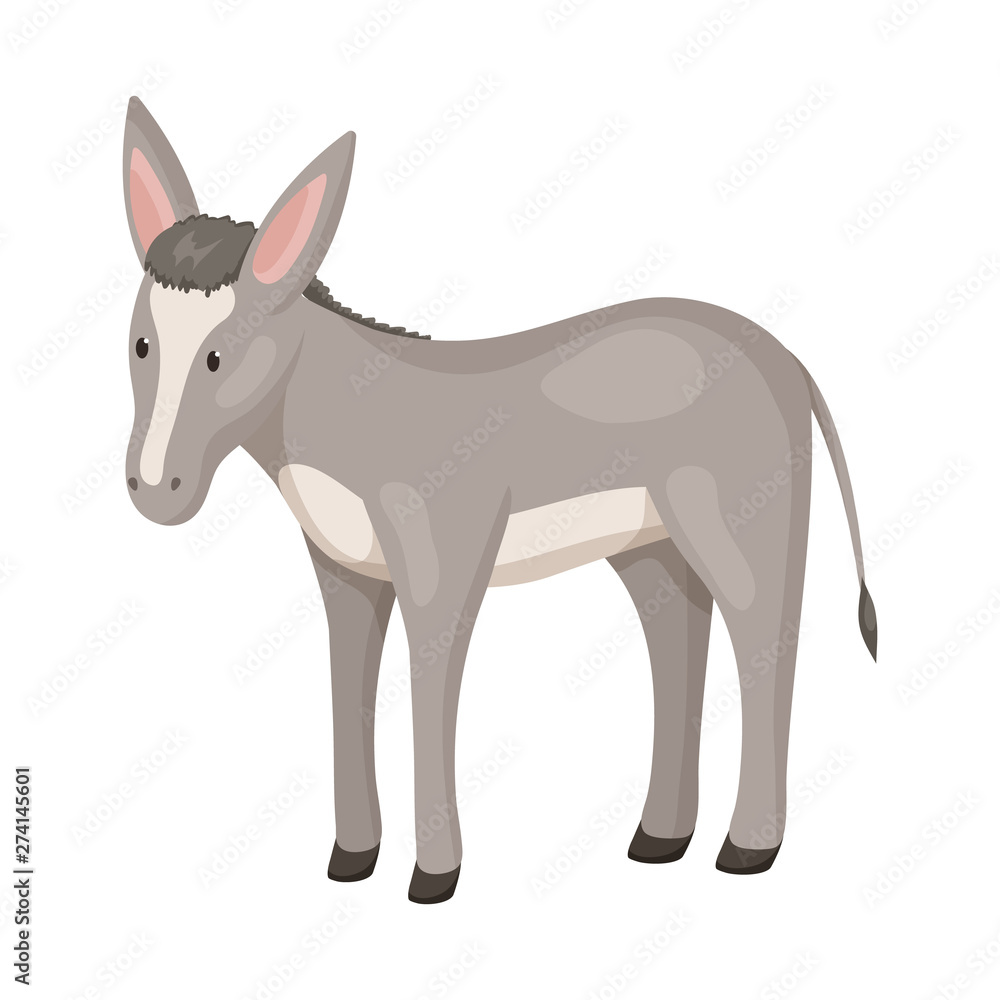 Isolated object of donkey and animal icon. Collection of donkey and grey stock vector illustration.
