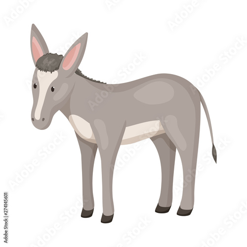 Isolated object of donkey and animal icon. Collection of donkey and grey stock vector illustration.