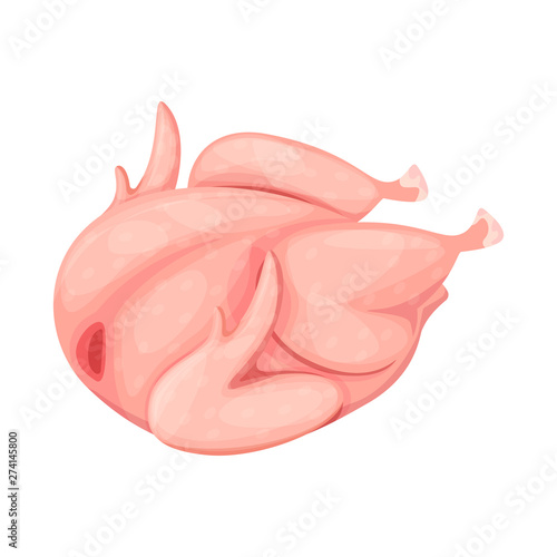 Isolated object of chicken and fresh logo. Set of chicken and dinner stock symbol for web.