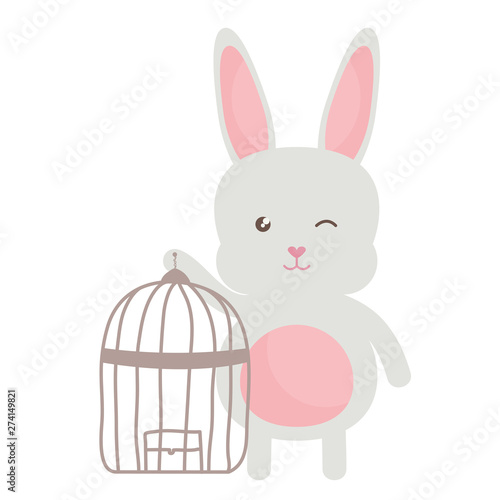 cute little rabbit with cage bird