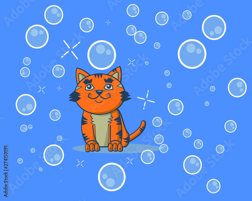 cat orange seeing water bubbles in the air
