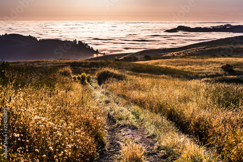 Sunset view of hiking trail in the Santa Cruz mountains; valley covered by a sea of clouds visible in the background; San Francisco bay area, California