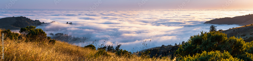Panoramic view at sunset of valley covered in a sea of clouds in the Santa Cruz mountains, San Francisco bay area, California - obrazy, fototapety, plakaty 