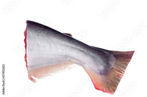 Fresh raw Ikan Patin or Silver Catfish or Iridescent shark fish or scientific name Pangasius Sutchi isolated on white background photo