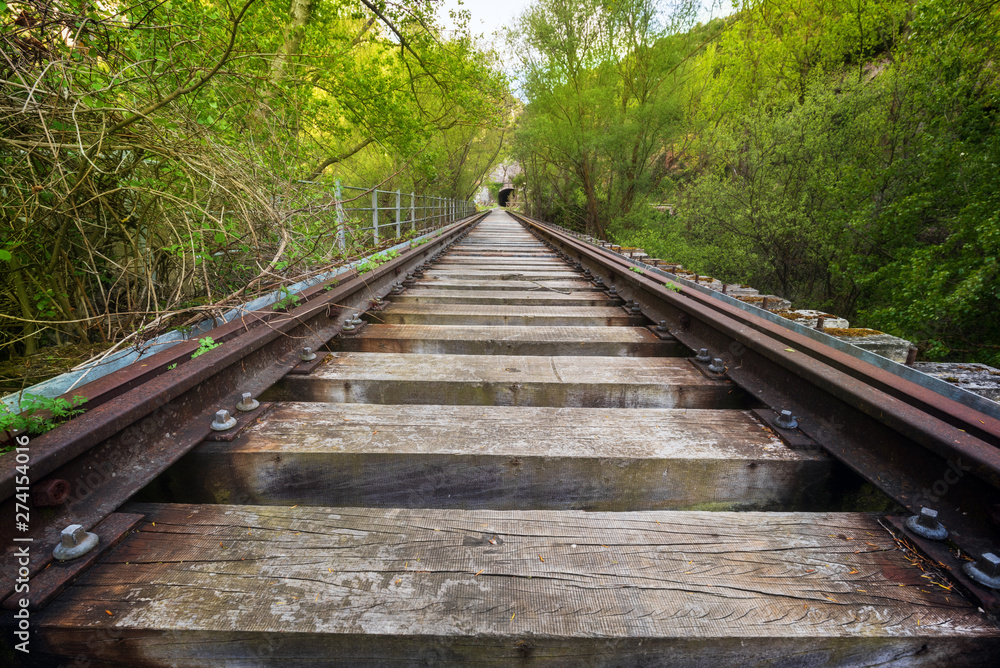 Abandoned railway bridge surrounded by lush vegetation . Abandoned railway bridge surrounded by lush vegetation .