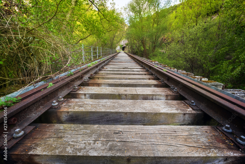 Abandoned railway bridge surrounded by lush vegetation .