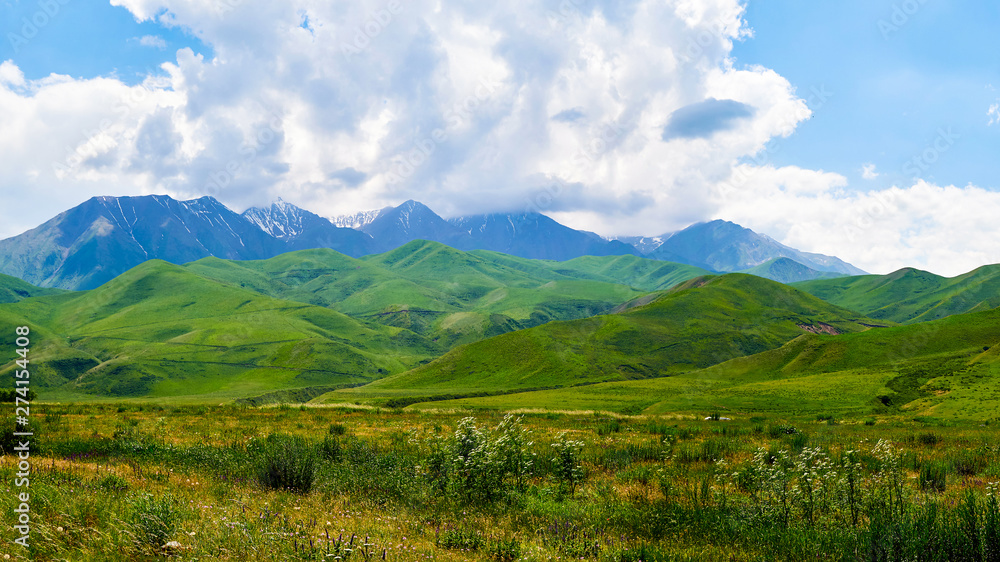 Panorama of a mountain valley in the summer. Fabulous view of the mountain green ridge and the field in front of him, amazing nature, summer in the mountains. Travel and camping, tourism