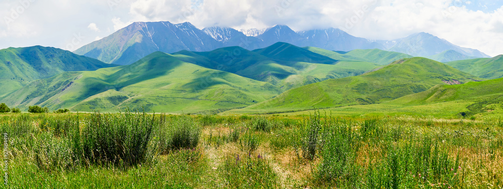 Fototapeta premium Panorama of a mountain valley in the summer. Fabulous view of the mountain green ridge and the field in front of him, amazing nature, summer in the mountains. Travel and camping, tourism