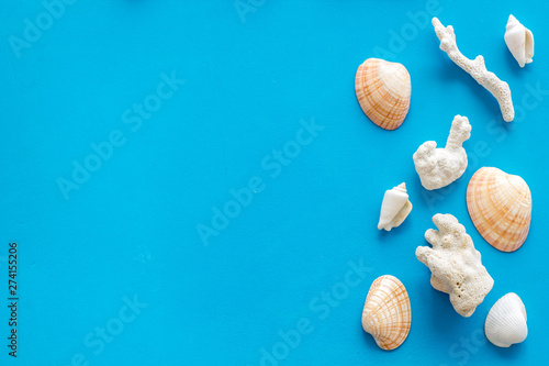 Seaside pattern with shells on blue background top view mock up